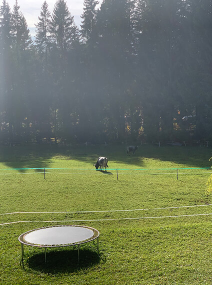 IMG__0001_image00044