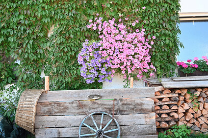 IMG_2573_0001_34A28E95-AEFA-45E8-B983-9C996BCCC9DE